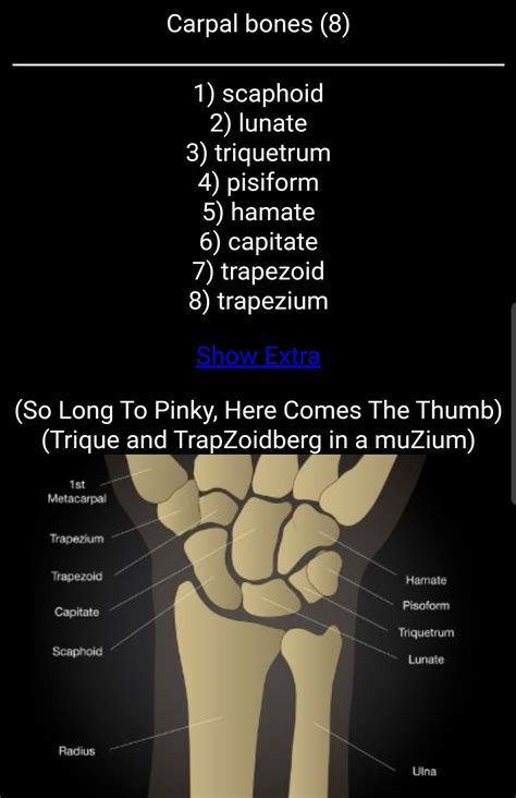 Wrist Bones Mnemonic