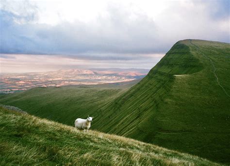 Wales [Olympus AZ200 - Fuji 400] : r/analog
