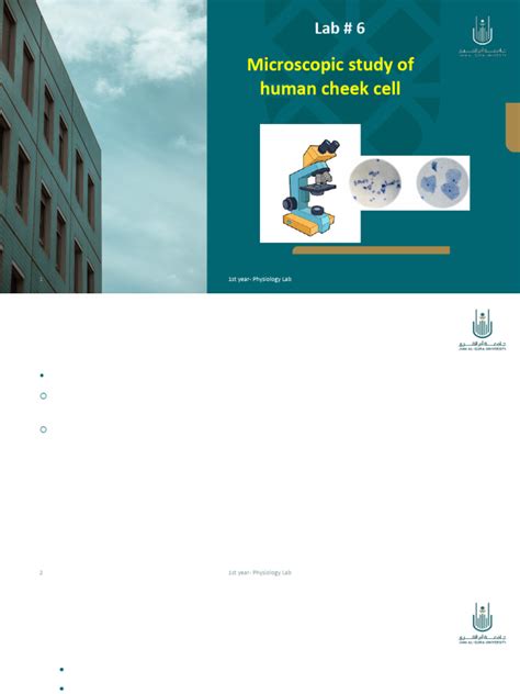 Cheek Cell Experiment Method 的图像结果