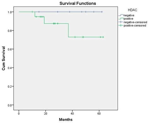 Are HDAC and Glutamine Synthetase Expression Levels Associated with ...