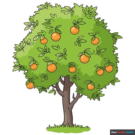 Orange Tree