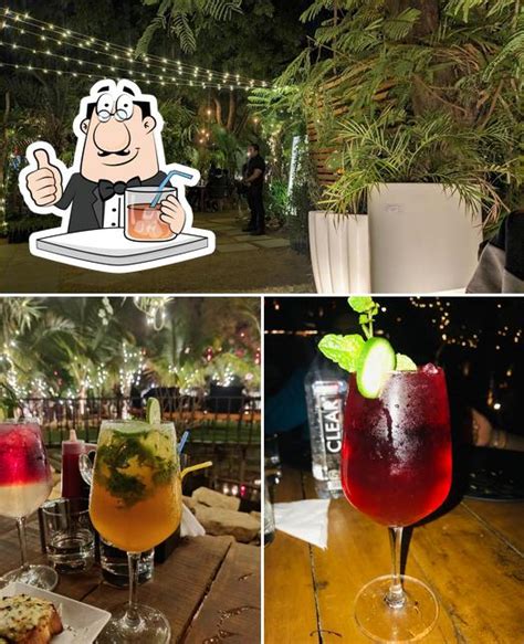 Arbre, Ahmedabad - Restaurant menu, prices and reviews