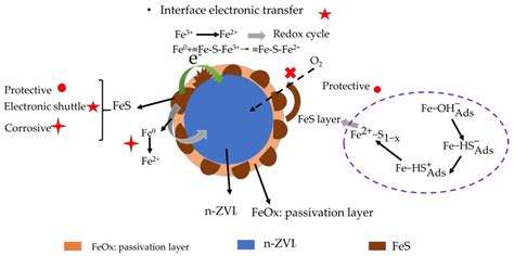 Application of Functional Modification of Iron-Based Materials in ...