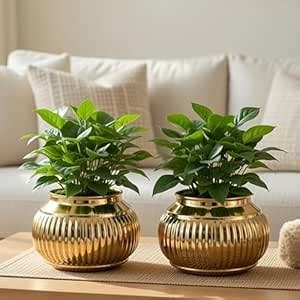 Behoma Matki Style Metal Plant Pot Set of 2 for Home Decor, Table-top ...