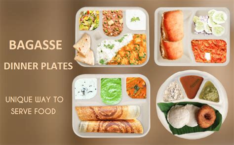 e kysa basics Disposable Bagasse Plates with 4 Compartments, Set of 15 ...