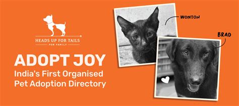 Adopt Joy: India's First Organised Directory For Pets In Need. – India ...