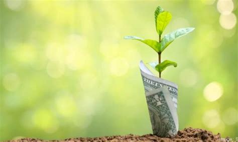 A Brief Guide To Seed Funding For Startups