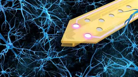 Neural Interface 的图像结果