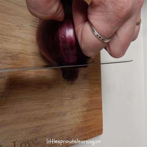 Basic Cooking Skills 的图像结果