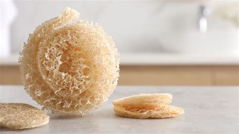 How To Use A Loofah | Storables