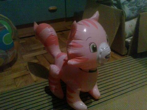 Image result for Inflatable Custard Cat