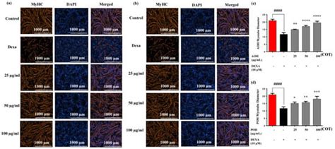 Exploring the Potential of Crassostrea nippona Hydrolysates as Dietary ...