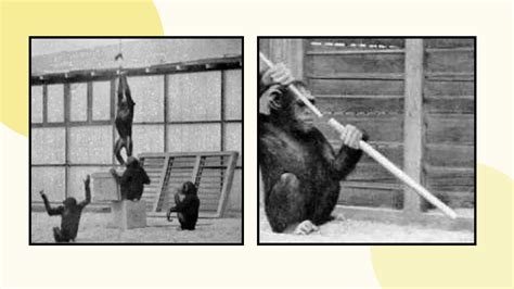 Insight Learning Theory.pdf