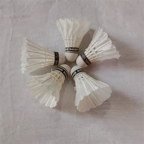 Most Expensive Shuttle Cock 的图像结果