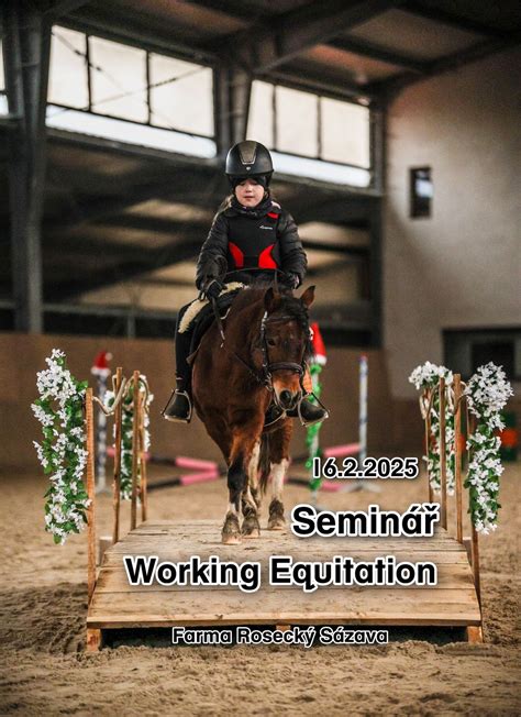 WORKING EQUITATION NA VYSOČINĚ III, Farma Rosecký - Huťský dvůr, Ž?ár ...