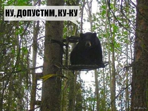 Ку-ку | Пикабу