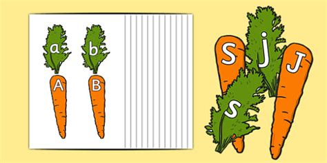 Carrot Upper and Lower Case Matching Activity Pack
