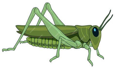Premium Vector | Cute grasshopper looking furiously