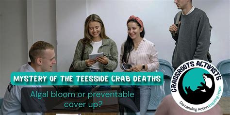 Mystery of the Teesside Crab Deaths: Algal bloom or preventable cover ...