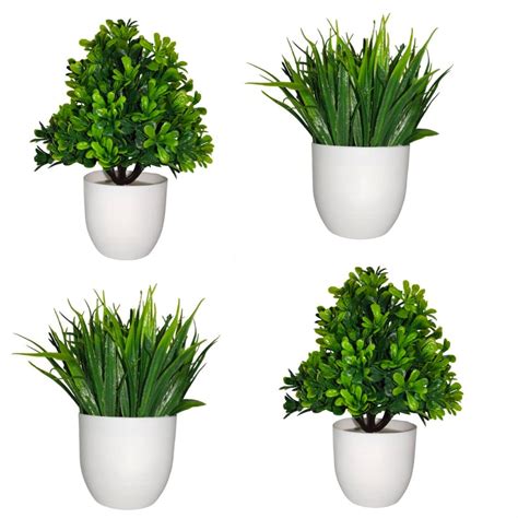 Buy Sami Home Decor with Include Pot (Green Colour Set 4) Tableware and ...