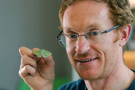 ‘Without them our biodiversity would collapse’: Munster moth catcher ...