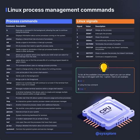 Image result for Process Management in Linux