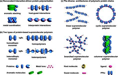 Protein-based supramolecular polymers: progress and prospect - Chemical ...