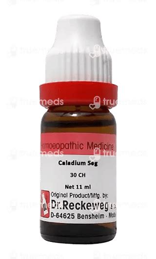 Dr Reckeweg Caladium Seg 30 Ch Dilution 11 Ml - Uses, Side Effects ...