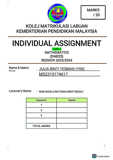 Image result for Individual Assignment