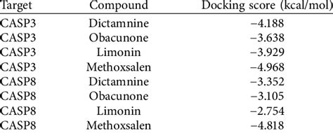 Image result for Docking Score