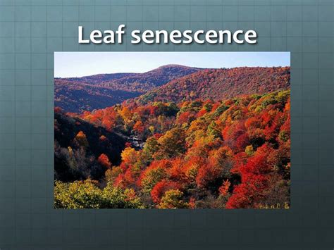 Image result for Climate Change Spring Temperature