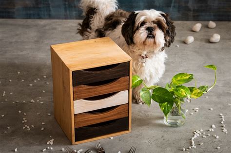 A Tiny Mistake Anniversary Gifts