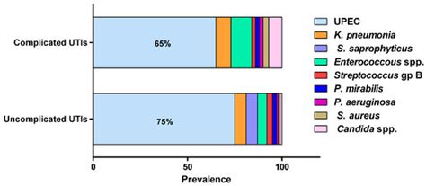 Biofilm Lifestyle in Recurrent Urinary Tract Infections