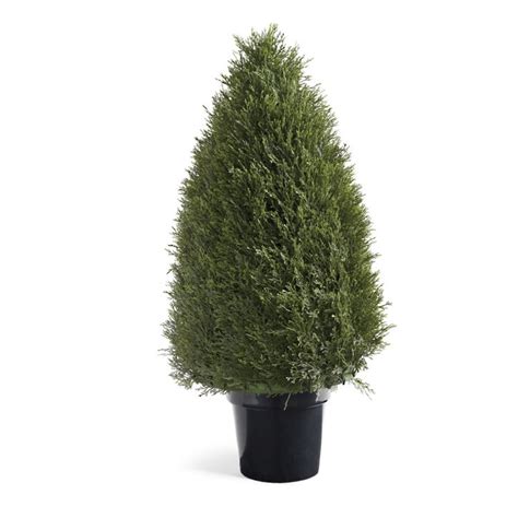 Pond Cypress Topiary | Grandin Road