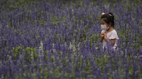 Time to make masks mandatory? It’s not just a US debate | World News