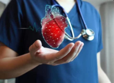 Cardiac Wellness Program in Pune – A Holistic Approach to Heart Health ...