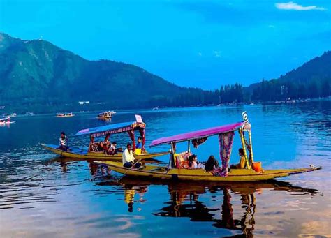 Jolly Holidays, Srinagar, Kashmir, Jammu and Kashmir, Best Travel ...