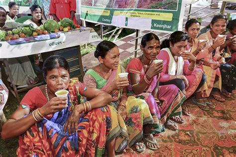 Voter turnout of 71 pc recorded in Odisha's six Lok Sabha seats, 42 ...