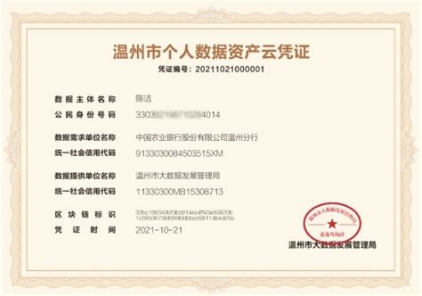 浙江温州发出首张“个人数据资产云凭证”-新华网