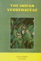The Indian Verbenaceae A Taxonomic Revision : Rajendran, A., Daniel, P ...