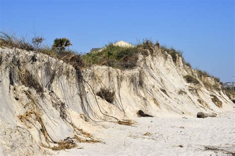 Beach Erosion Florida Coastline Free Stock Photo - Public Domain Pictures