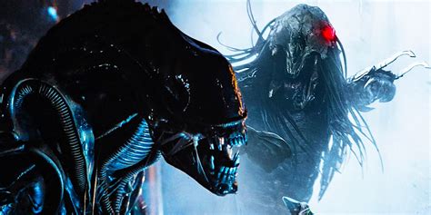 Image result for Alien vs Predator Cartoon