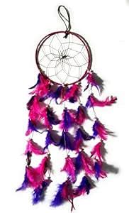 Aayam Design and Solutions Pink and Blue Dream Catcher Wall Hanging (65 ...