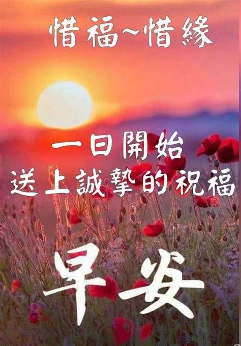 一天一个祝福语,早上好8个字,早安10个字短语(第5页)_大山谷图库