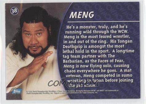 Meng WCW 1994 的图像结果