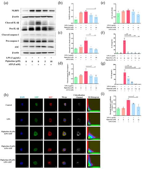 Protective Effect of Piplartine against LPS-Induced Sepsis through ...