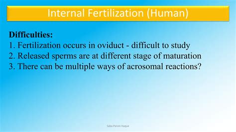 Image result for Human Internal Fertilization