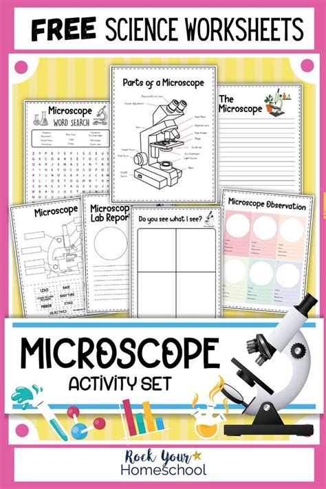 Image result for How To Use A Microscope For Elementary Students