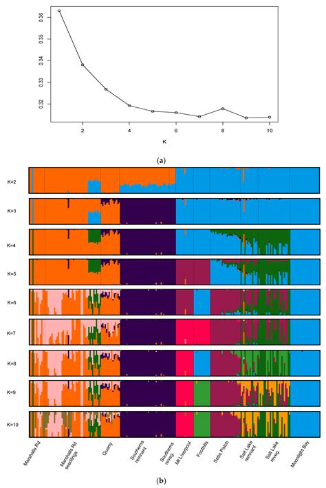 Increased Genetic Diversity via Gene Flow Provides Hope for Acacia ...