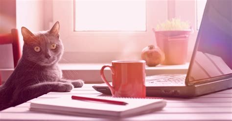 Image result for How to Write Blog Posts Fast